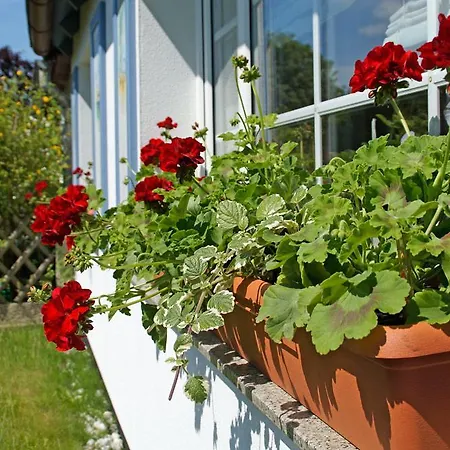 Ferienwohnanlage Brückner * Rostock